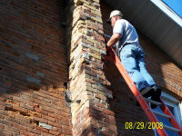 Bat Abatement Chimney