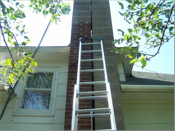 Bat Abatement