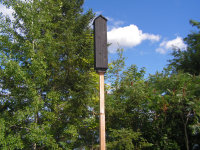 Bat House Single
