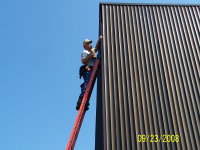 Bat Abatement Shaun