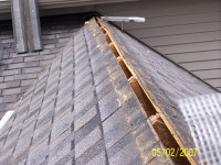 Bat Exclusion Ridge Vent