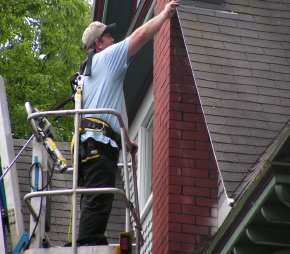 Bat Control Traverse City